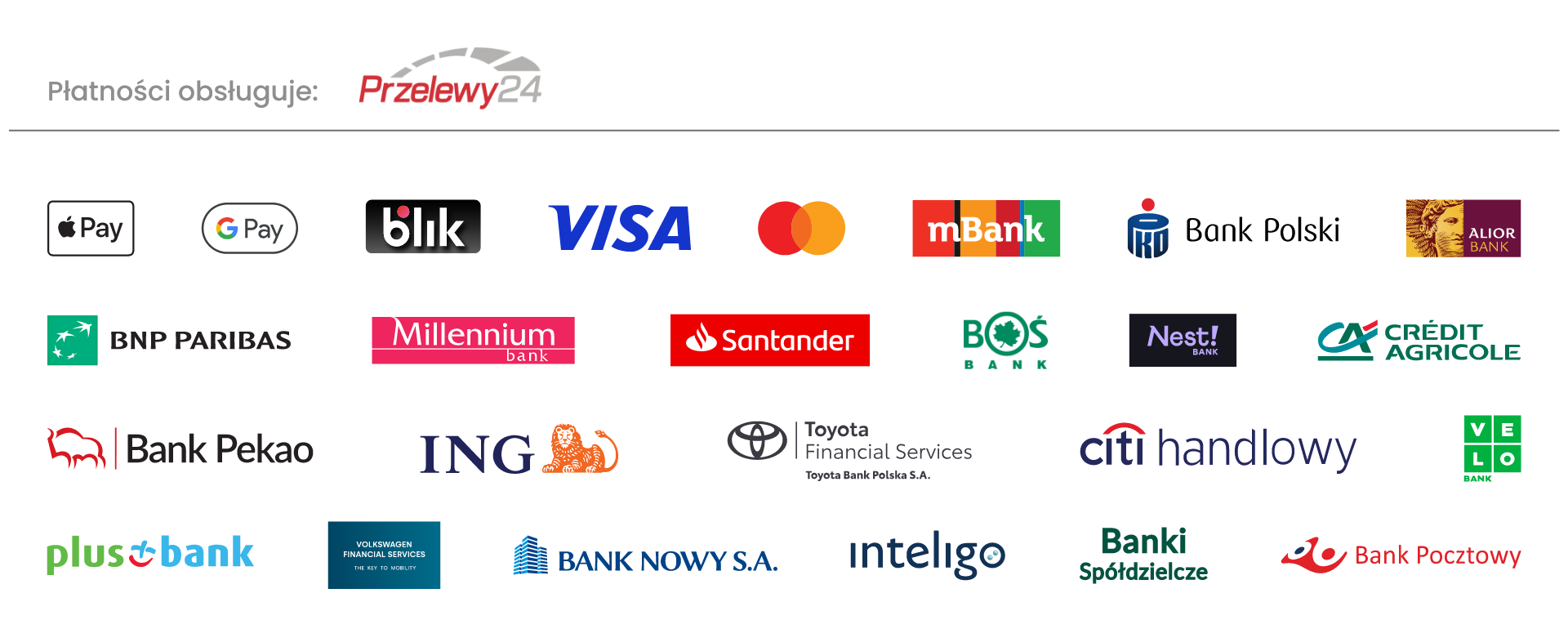 Payments handled by Przelewy24 — Apple Pay, Google Pay, BLIK, Visa, Mastercard, bank transfers and more
